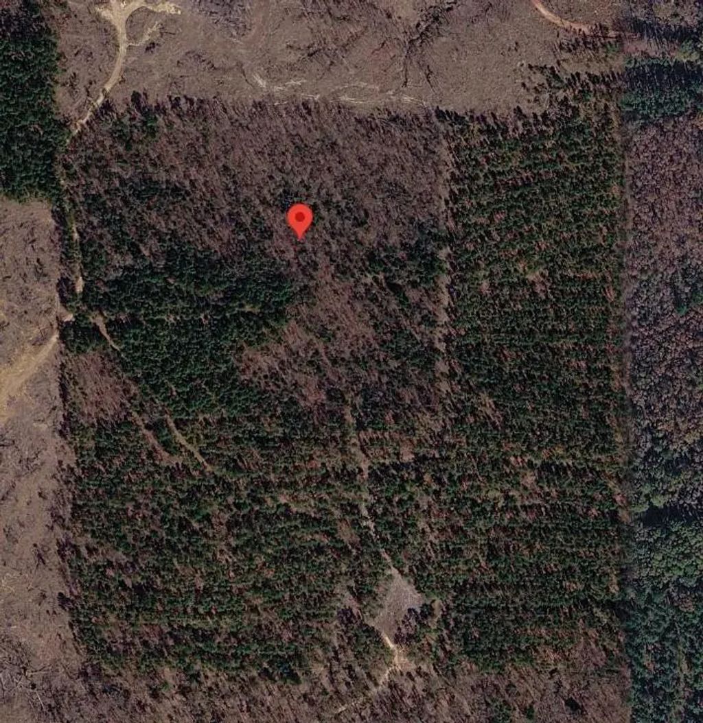 Tract 3 County Road 3769, Queen City