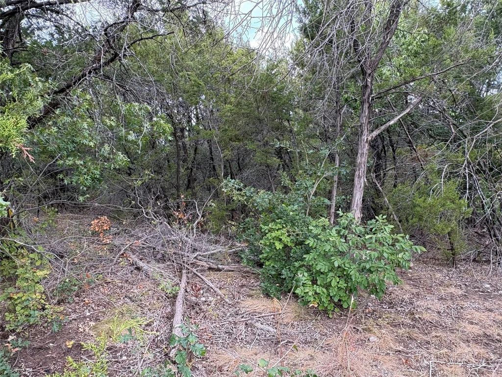 4426 W Oak Trail, Granbury