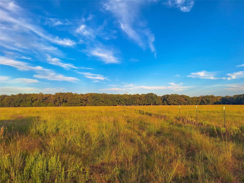 Tbd County Road 2147 C, Kemp