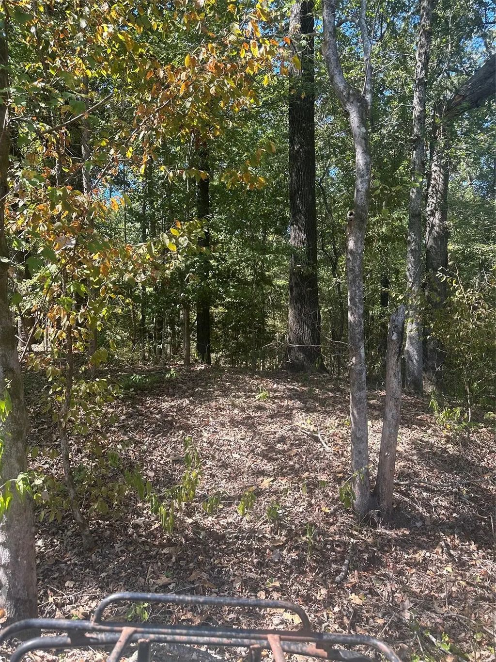 394 Denmon Road, Sarepta