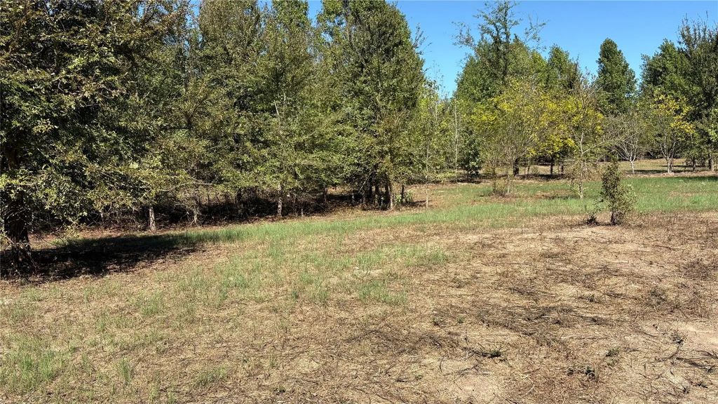 920 County Road 1226, Quitman
