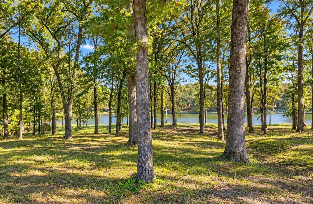 Lot 55 Private Road 52415, Leesburg