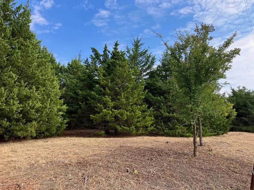 Tbd County Road 670, Blue Ridge