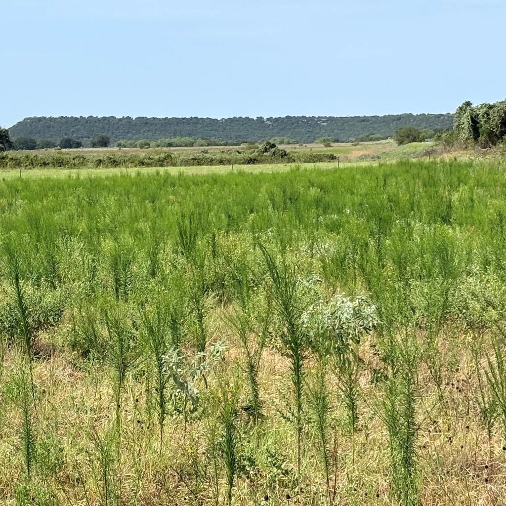 Tbd Keller, Mineral Wells