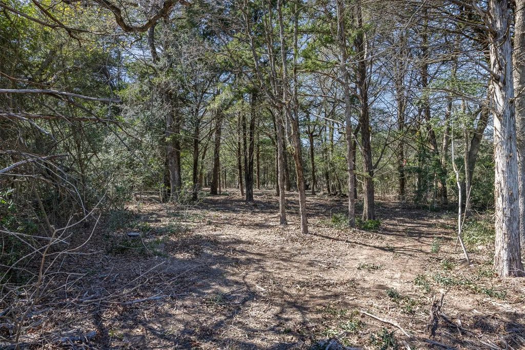 4.81 Ac Pauline Lane, Caldwell