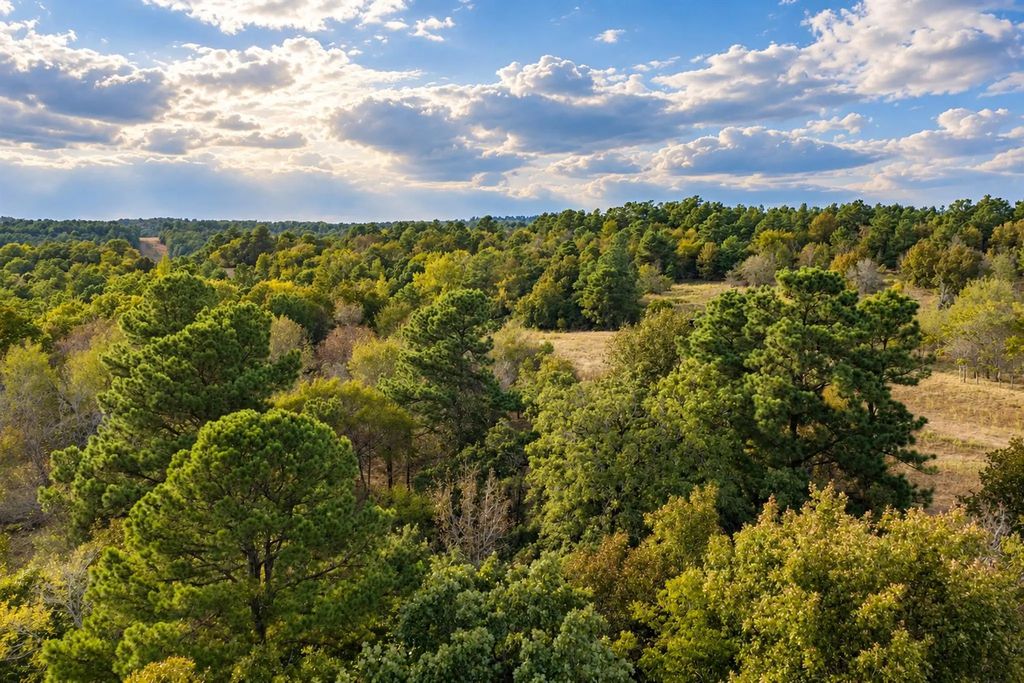 Off Of County Road 448, Palestine