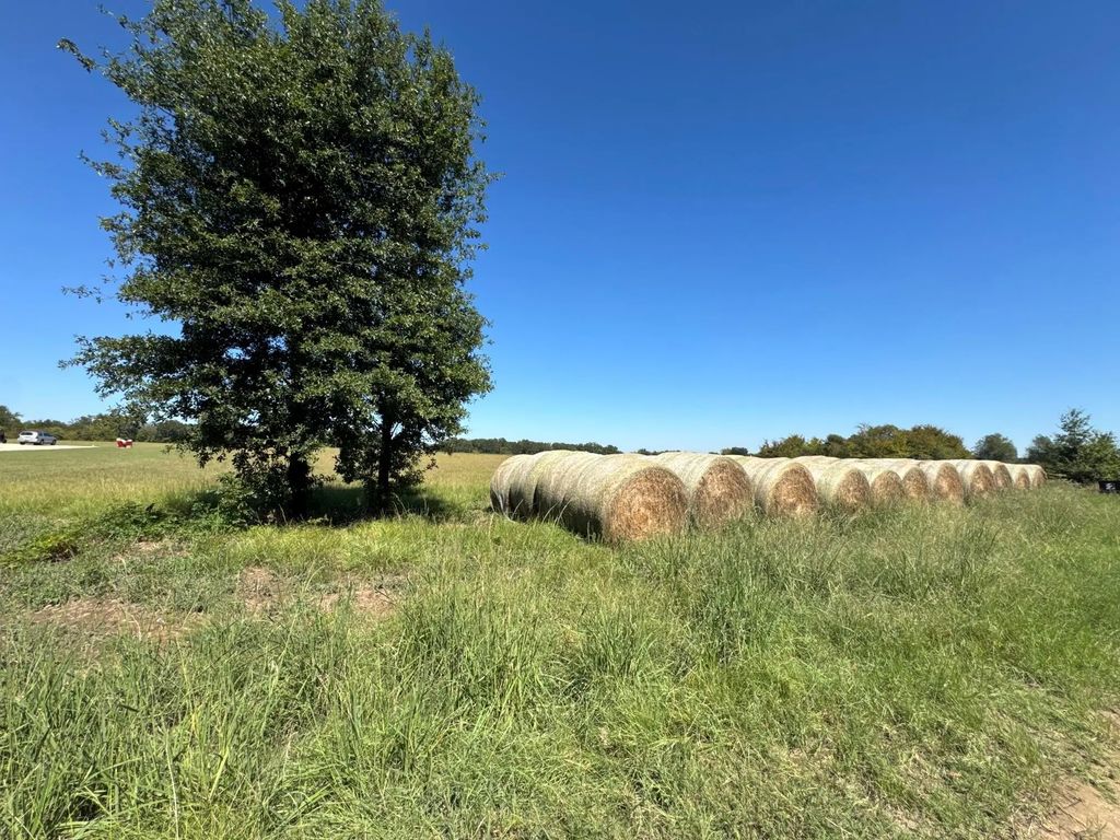 Lot 10 County Road 2922, Eustace