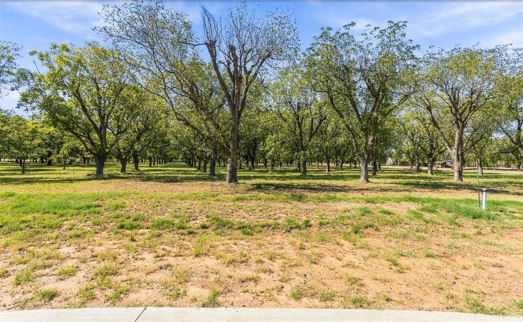 2513 Buckskin Drive, Granbury