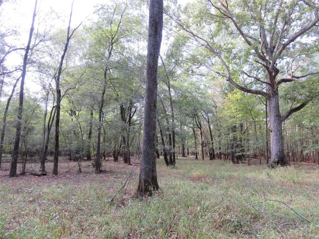 9795 Highway 59, Nacogdoches