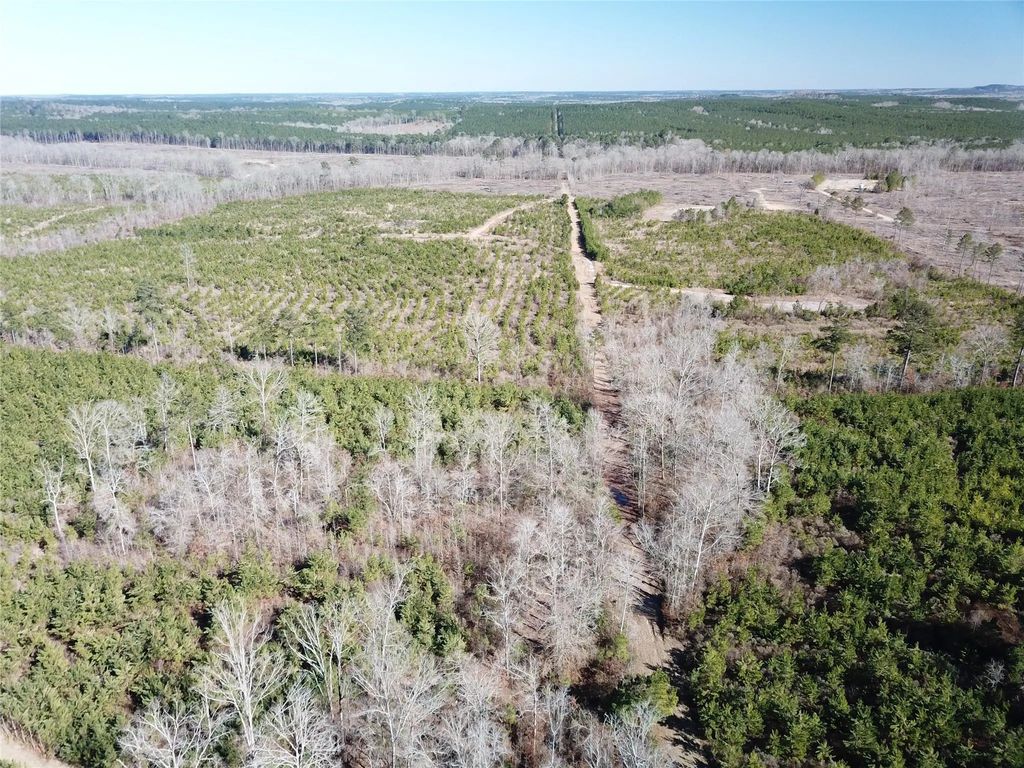 Off Hwy 517, Gibsland