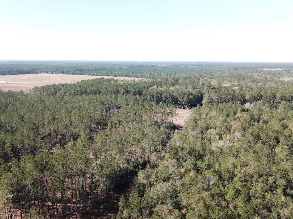 Hunting Lodge Road, Kountze