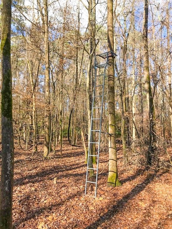 Cr 1651, Avinger TX Avinger Lots/Land Homes For Sale