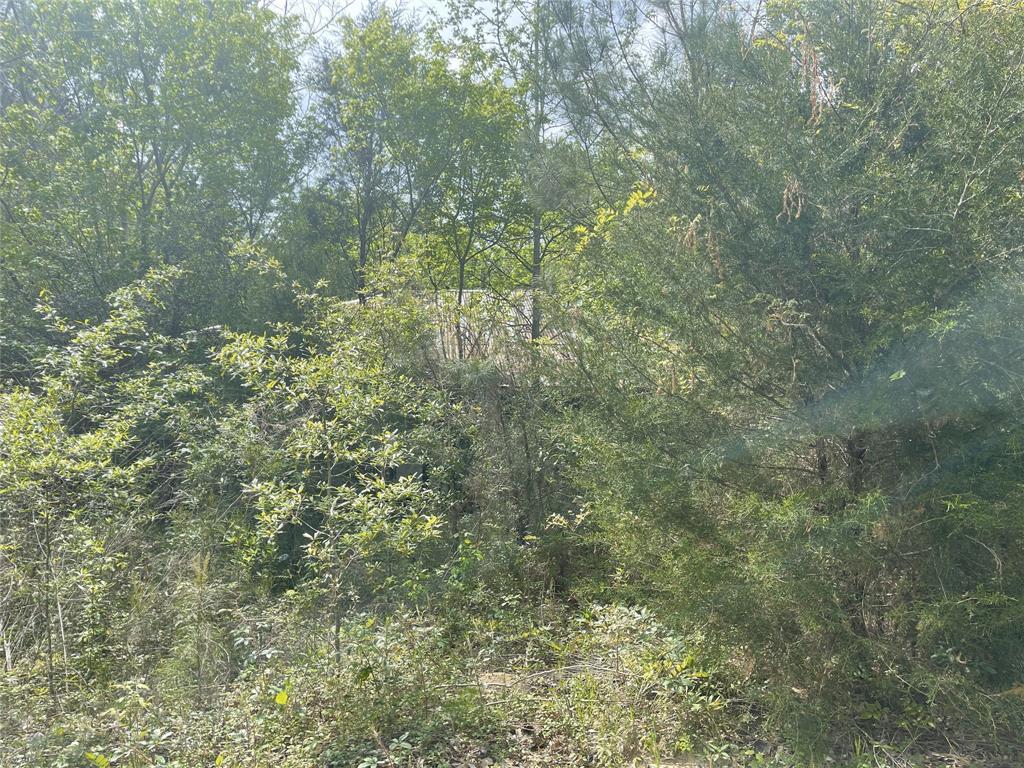 826 Social Springs Road, Ringgold LA Ringgold Lots/Land Homes For Sale