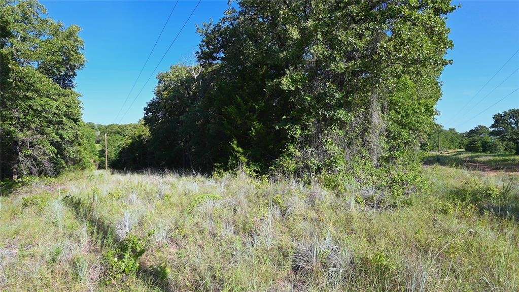 Tbd Cobb Hollow Road, Saint Jo TX Saint Jo Lots/Land Homes For Sale