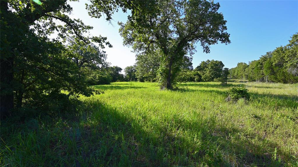 Tbd Cobb Hollow Road, Saint Jo TX Saint Jo Lots/Land Homes For Sale