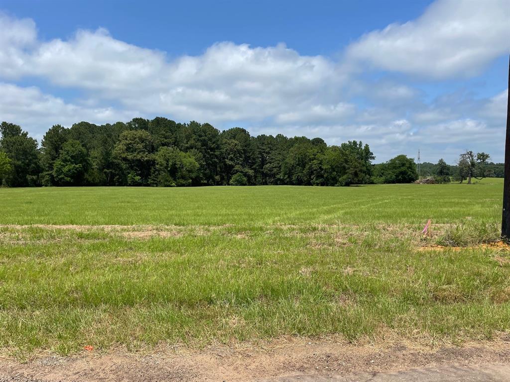 20255 County Road 4126 Lot 4b, Lindale