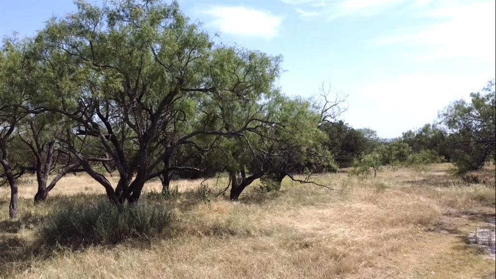 9218 State Highway 36 W, Clyde TX | Clyde Lots/Land Homes For Sale