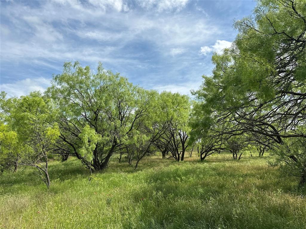 Tract 15 Cr 150, Abilene TX | Abilene Lots/Land Homes For Sale