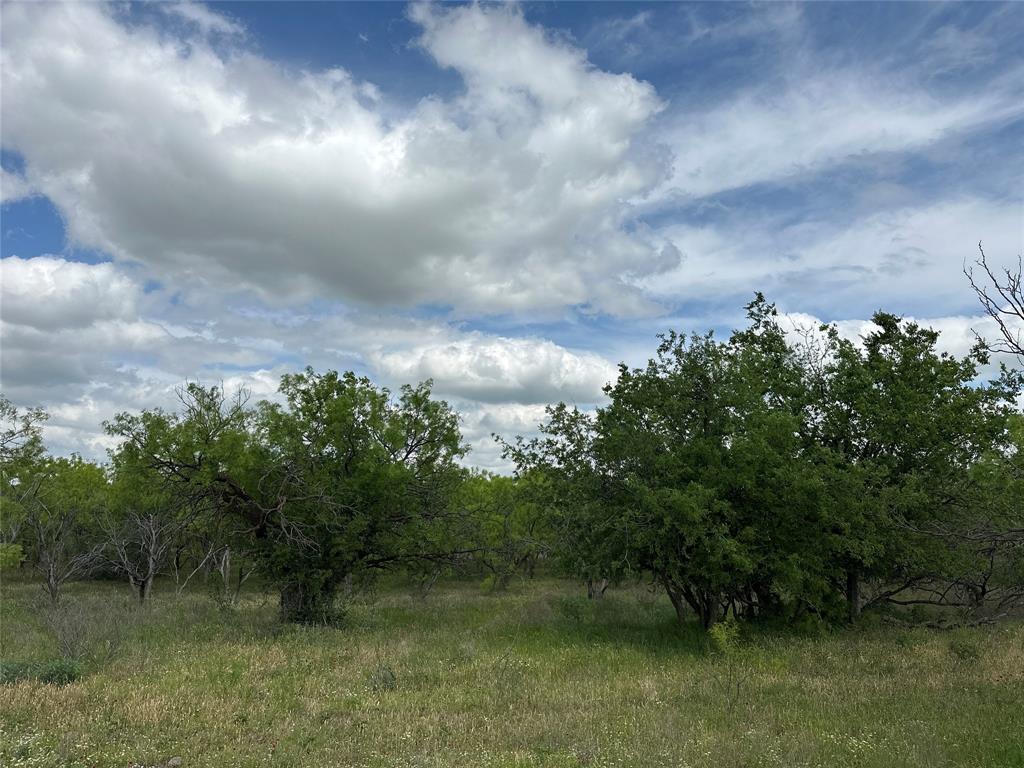 Tract 15 Cr 150, Abilene TX | Abilene Lots/Land Homes For Sale