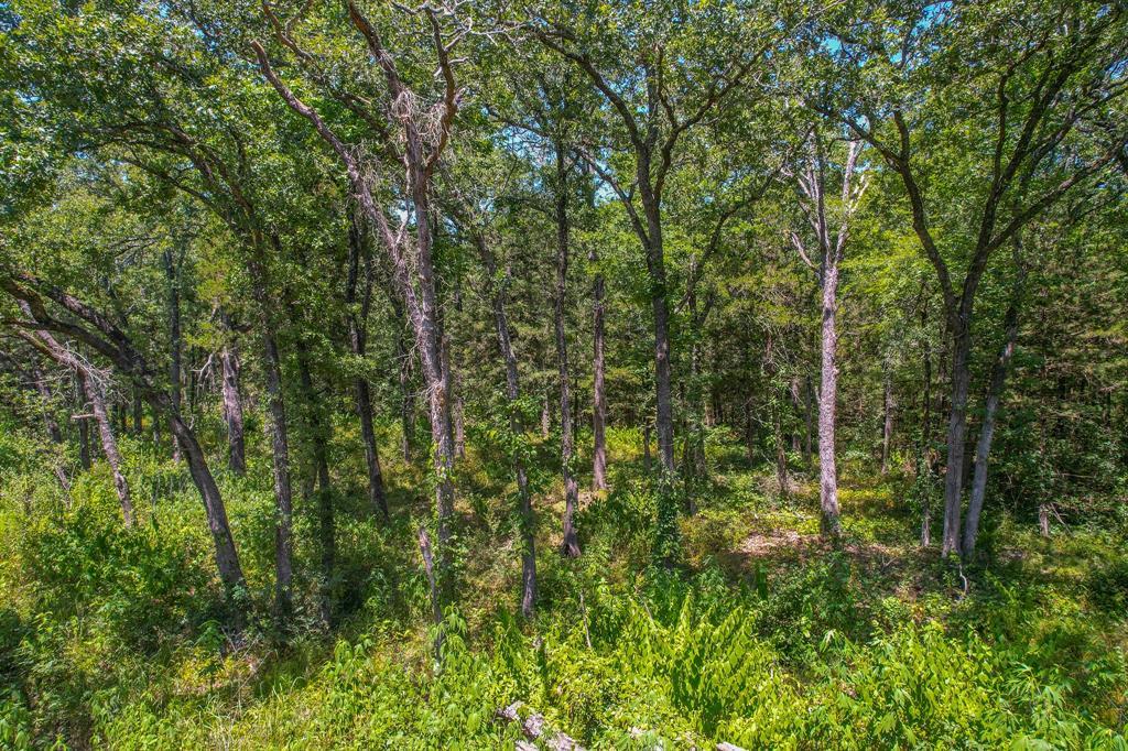 Tbd Rcr 5420, Point TX Point Lots/Land Homes For Sale