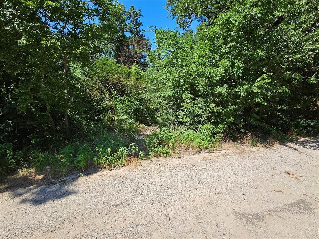 Lot 2 Bird Hill Drive, Quinlan TX Quinlan Lots/Land Homes For Sale