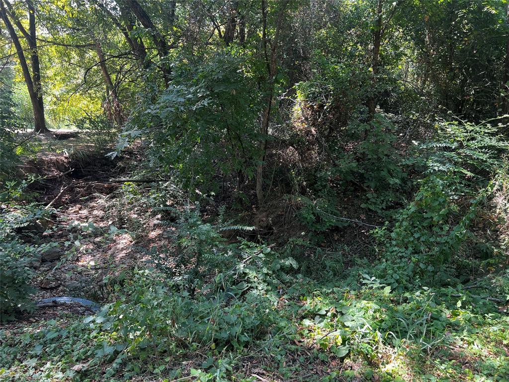 Lot 174 & 175 Oak Trail Drive, Gordonville TX Gordonville Lots/Land