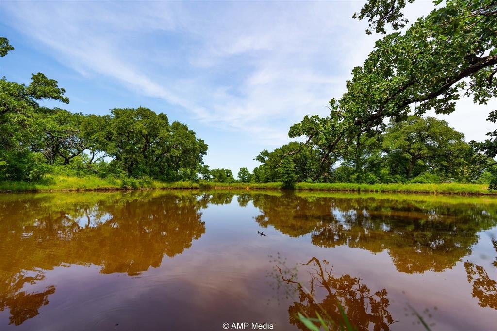 Tbd Old Gertrude Road, Jermyn