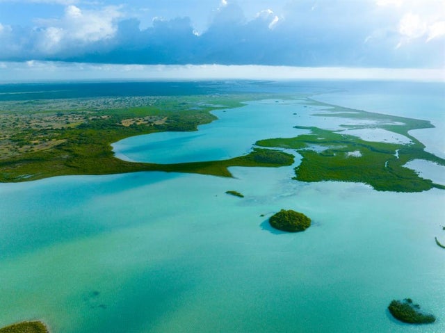 Photo of Listing #20998803