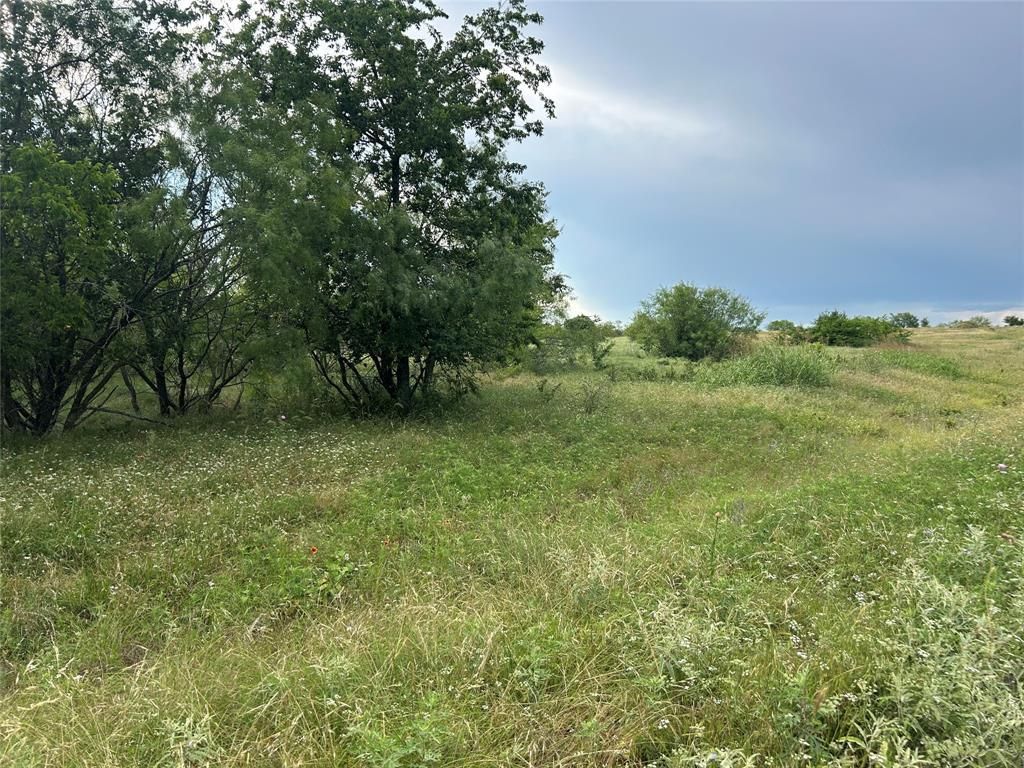 4060 Mirielle Drive, Aledo