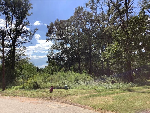 Photo of Listing #21093515