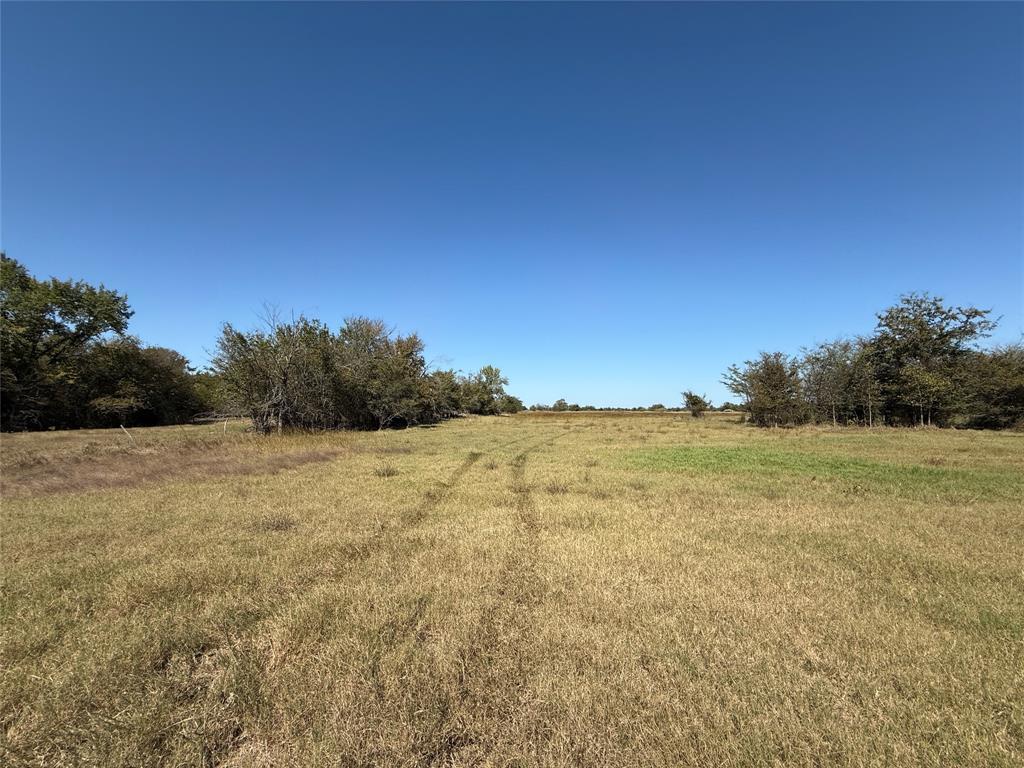 108 Acres County Road 3544, Sulphur Bluff