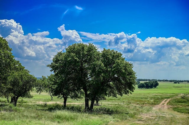 Photo of Listing #21099199