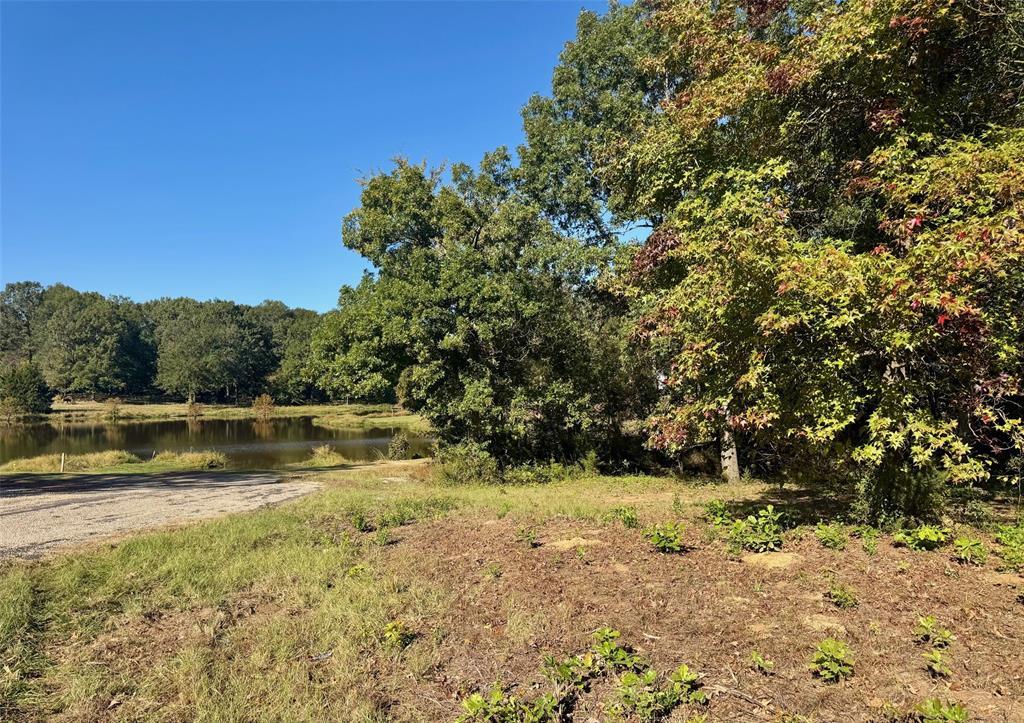 Lot 18 County Road 1216, Pittsburg