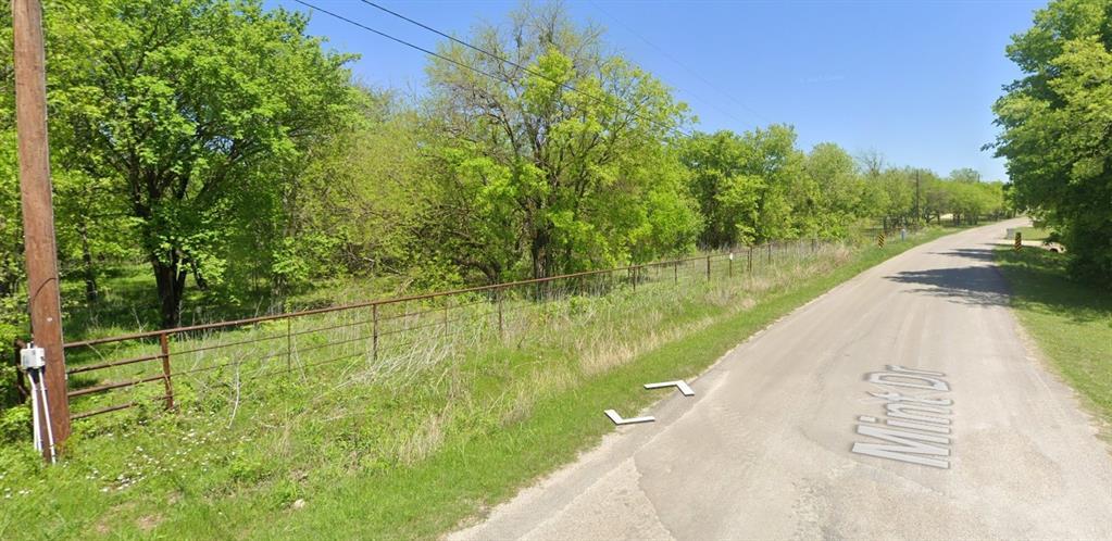 704 Mint Drive, Burleson