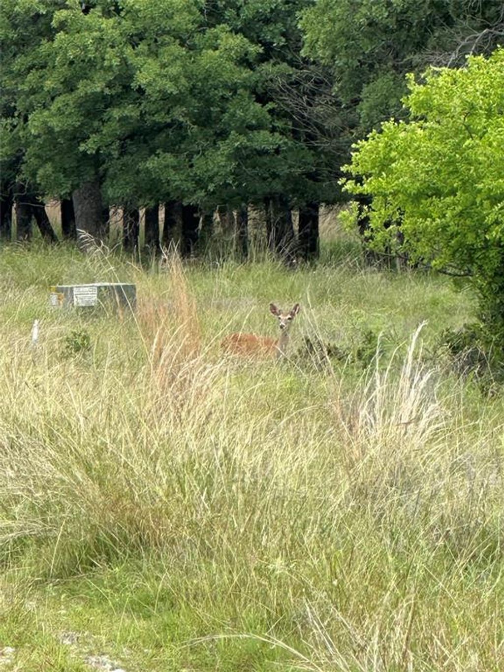 Lot 237 Vista Pointe Drive, Chico