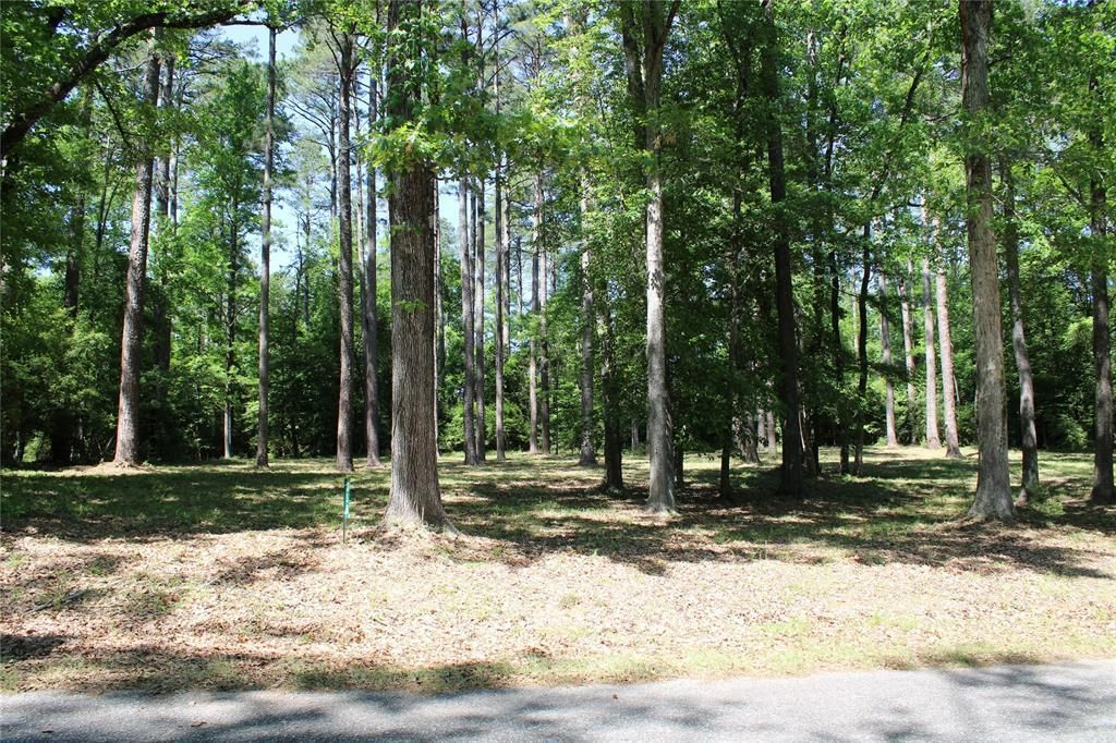 356 Woodsway Circle, Chatham