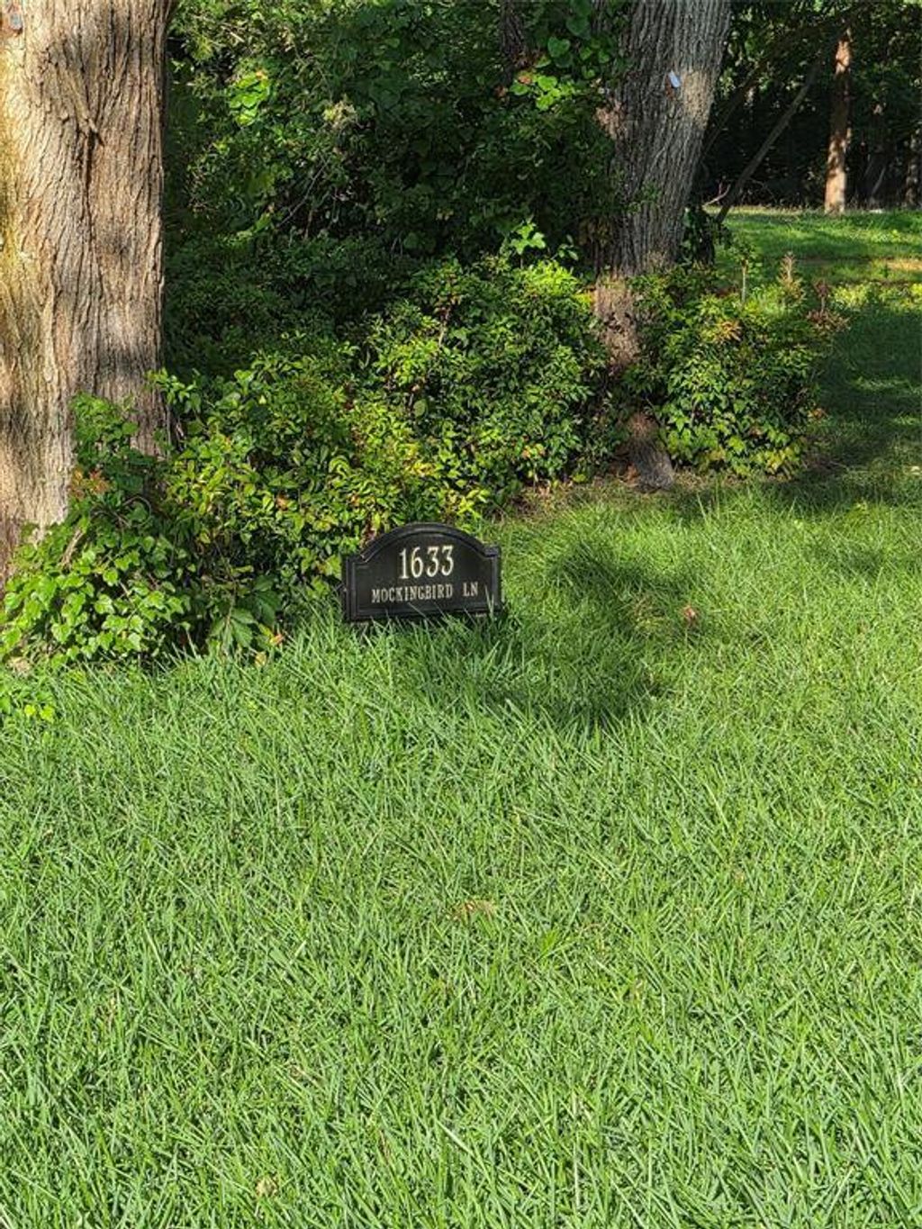 1633 Mockingbird Lane, Southlake
