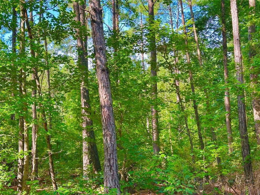 00 Hwy 808, Haynesville