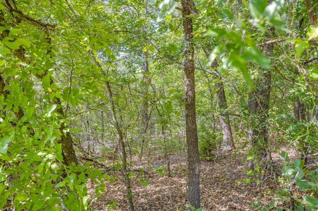 1125 Crazy Horse Trail, Burleson