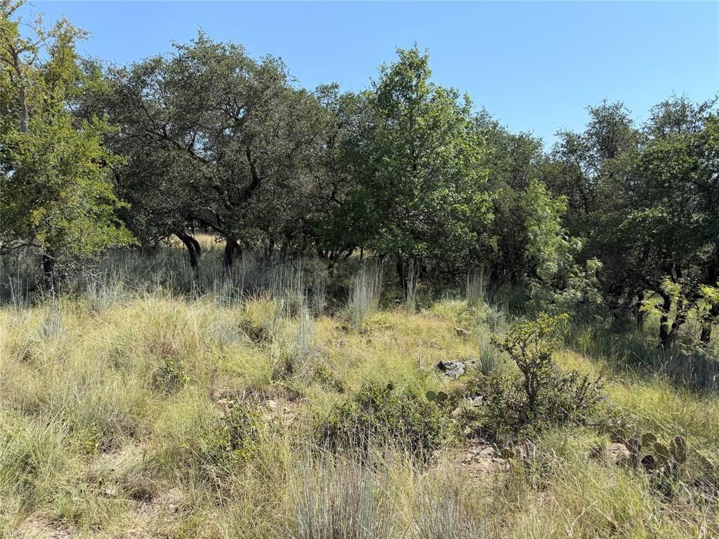 Tbd Lot 974 Lake Point Drive, May