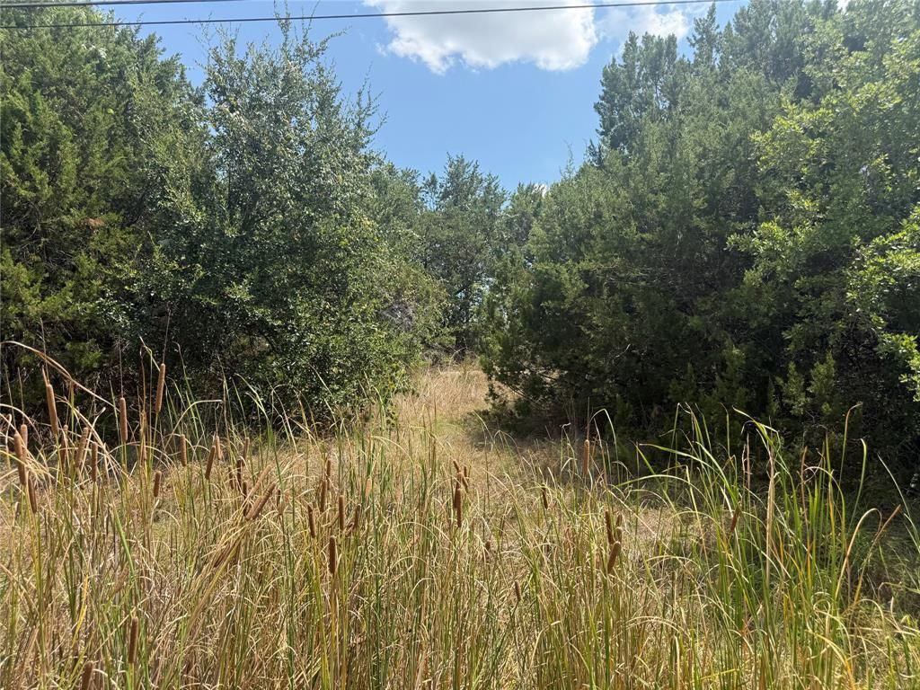 817 Pawnee Trail, Granbury