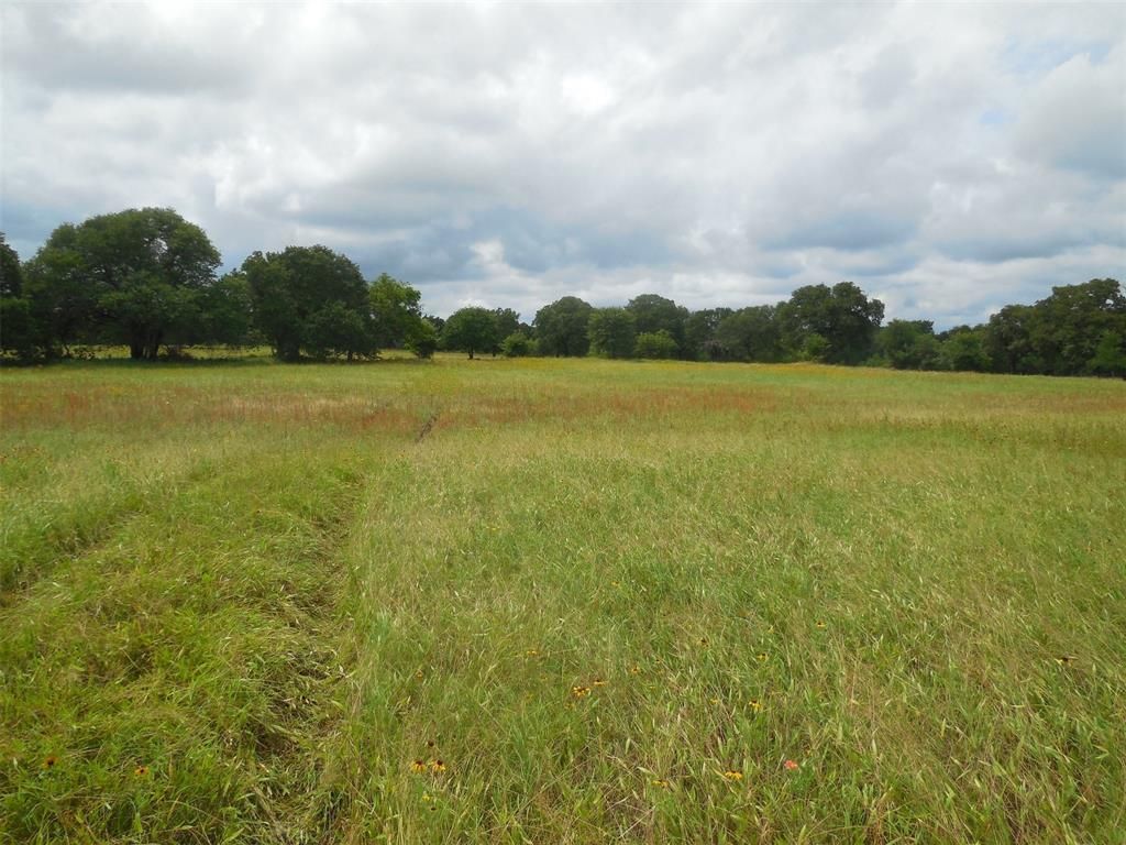 Tbd County Road 488, Ranger