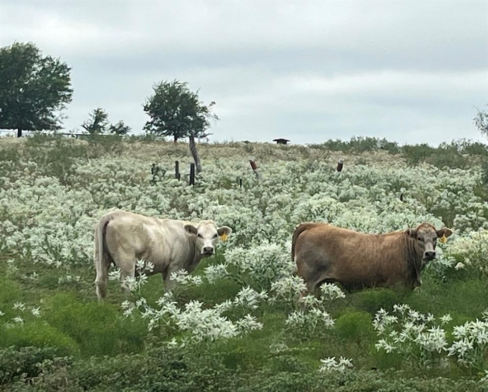 6096 Abner Road, Terrell