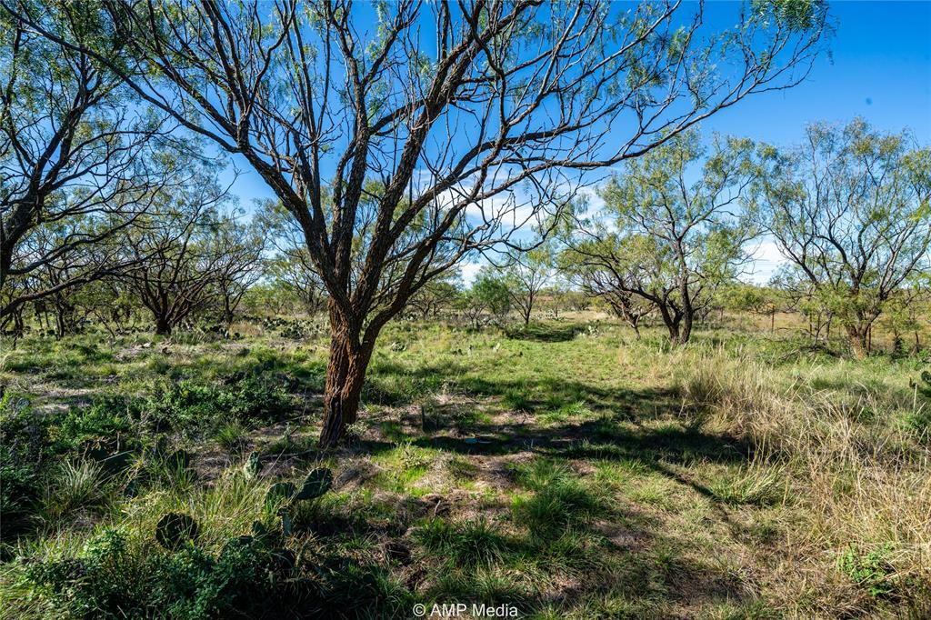 151 County Road 412, Talpa