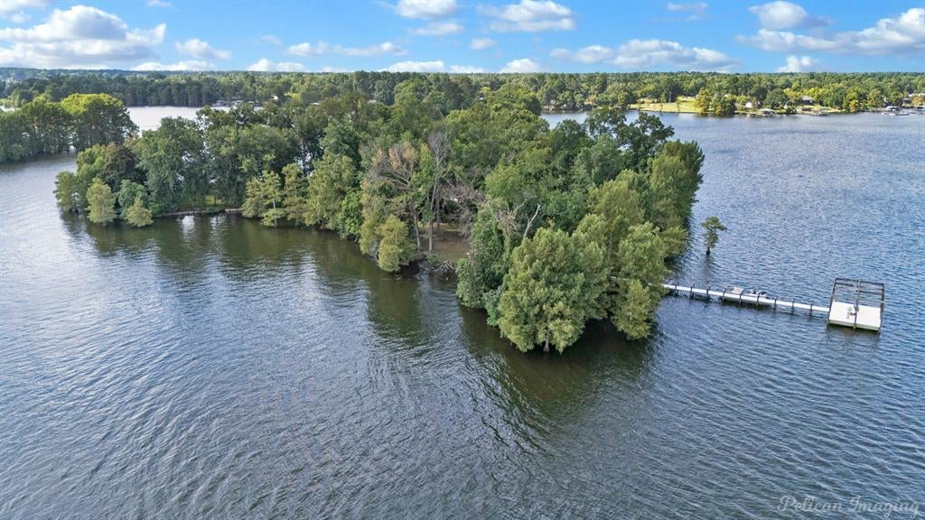 Bird Island, Shreveport