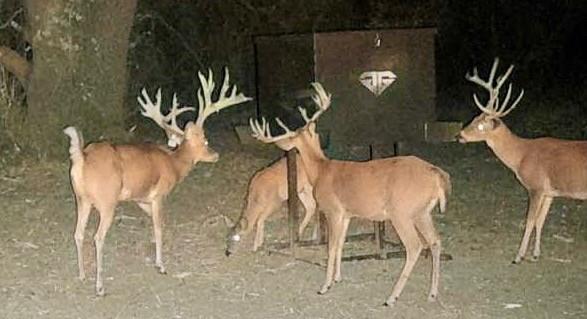 Tbd Ccounty Road 135, Sidney