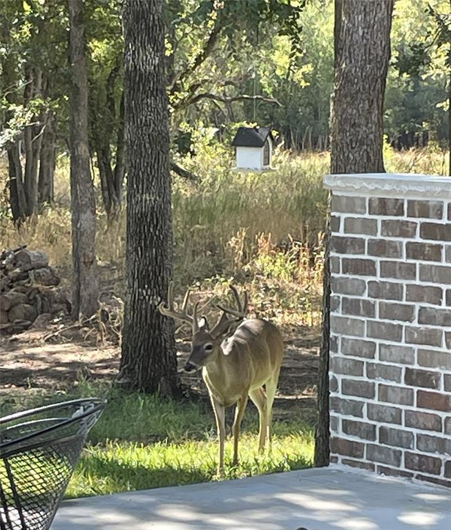 221 Greene Road, Weatherford