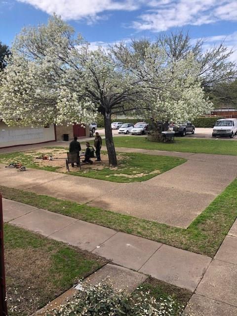 919 S Weatherred Drive 206, Richardson