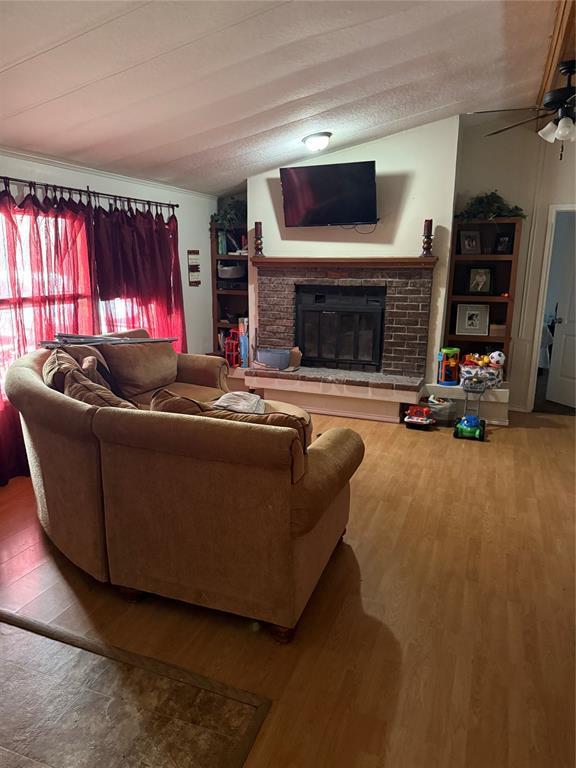 8163 Lady Bird, Kemp