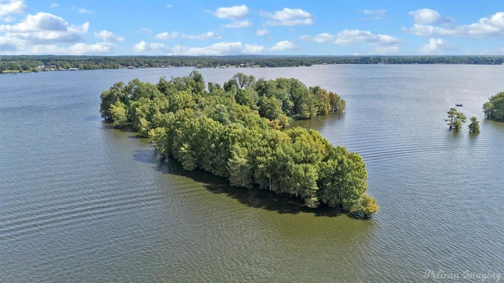 Bird Island, Shreveport